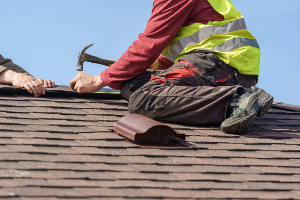 Best Roof Gutter Cleaning  in Watergate, FL
